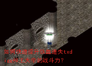 如何快速提升铁血迷失txdigg神王天帝的战斗力? 如何快速提升铁血迷失txdigg神王天帝的战斗力?
