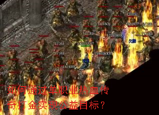 ���ͨ����ְҵ��Ѫ������ʵ�ֹ���Ŀ�ꣿ