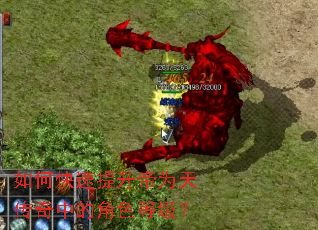 ��ο���������Ϊ�촫���еĽ�ɫ�ȼ���