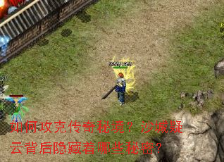 ��ι��˴����ؾ���ɳ�����Ʊ�����������Щ���ܣ�