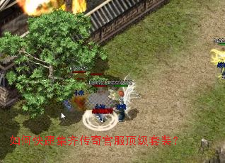 ��ο��ټ��봫��ٷ�������װ��