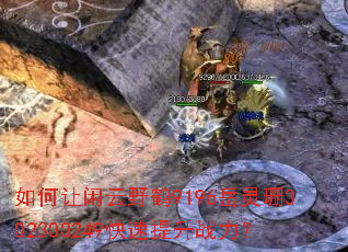 ���������Ұ��9196����ɺ302300249��������ս����