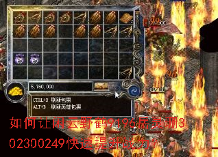 ���������Ұ��9196����ɺ302300249��������ս����