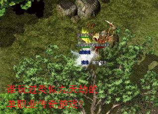 谁玩过类似九天劫的单职业传奇游戏? 谁玩过类似九天劫的单职业传奇游戏?