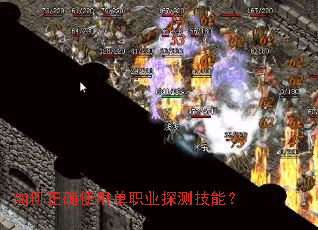 �����ȷʹ�õ�ְҵ̽�⼼�ܣ�