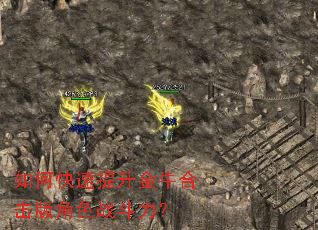 ��ο���������ţ�ϻ����ɫս������