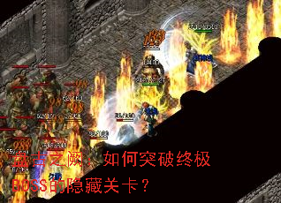 �̹�֮�ڣ����ͻ���ռ�BOSS�����عؿ���