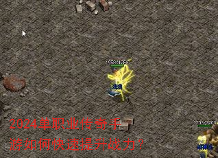 2024��ְҵ����������ο�������ս����