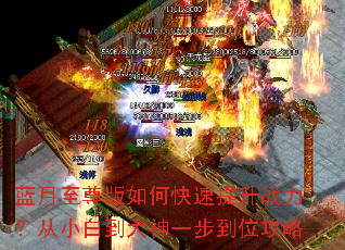 �����������ο�������ս������С�׵�����һ����λ����