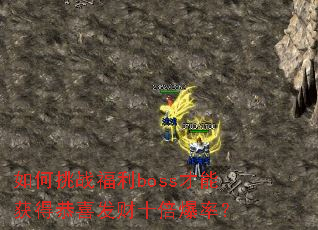 �����ս����boss���ܻ�ù�ϲ����ʮ�����ʣ�