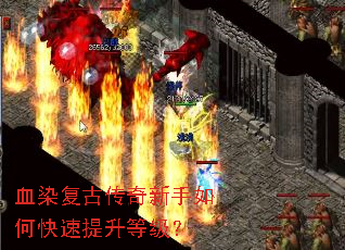 ѪȾ���Ŵ���������ο��������ȼ���