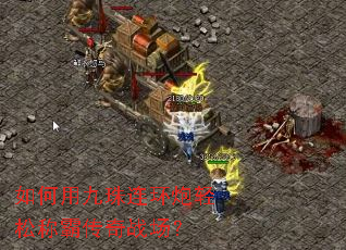 ����þ������������ɳưԴ���ս����