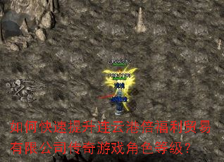 ��ο����������Ƹ۱�����ó�����޹�˾������Ϸ��ɫ�ȼ���