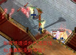 ��ο����������������ɵ���ְҵ�ĵȼ���