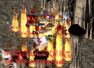 ��ο�������Զ���·����棿���ֱؿ�����ָ��