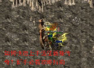 ��ο�������Զ���·����棿���ֱؿ�����ָ��