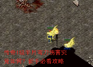����1�������䵶�˺�������Σ����ֱؿ�����