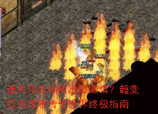��ʧ�귨�����ȼ���飿������ϯ�����������ռ�ָ��