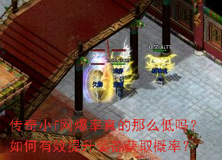 ����Сf�����������ô���������Ч����װ����ȡ���ʣ�