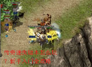 ������ʧ�汾��ô�棿��������ȫ����