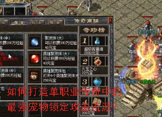 如何打造单职业传奇中的最强宠物锁定攻击流派? 如何打造单职业传奇中的最强宠物锁定攻击流派?