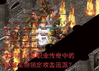 如何打造单职业传奇中的最强宠物锁定攻击流派? 如何打造单职业传奇中的最强宠物锁定攻击流派?