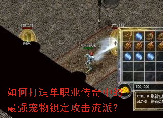 如何打造单职业传奇中的最强宠物锁定攻击流派? 如何打造单职业传奇中的最强宠物锁定攻击流派?