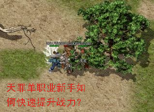 天罪单职业新手如何快速提升战力? 天罪单职业新手如何快速提升战力?