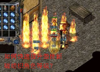 如何快速提升傲世新版纺织角色等级? 如何快速提升傲世新版纺织角色等级?