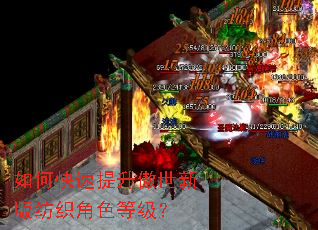 如何快速提升傲世新版纺织角色等级? 如何快速提升傲世新版纺织角色等级?