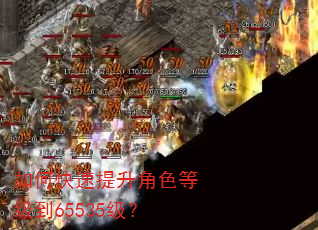 如何快速提升角色等级到65535级? 如何快速提升角色等级到65535级?