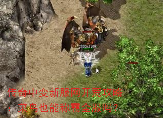 传奇中变新服网开荒攻略:菜鸟也能称霸全服吗? 传奇中变新服网开荒攻略:菜鸟也能称霸全服吗?