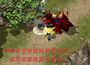 传奇中变新服网开荒攻略:菜鸟也能称霸全服吗? 传奇中变新服网开荒攻略:菜鸟也能称霸全服吗?
