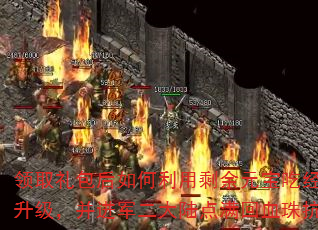 领取礼包后如何利用剩余元宝吃经验珠快速升级,并进军二大陆点满回血珠抗怪发展? 领取礼包后如何利用剩余元宝吃经验珠快速升级,并进军二大陆点满回血珠抗怪发展?
