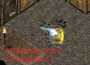 无欲单职业第八季新手如何快速提升战力? 无欲单职业第八季新手如何快速提升战力?