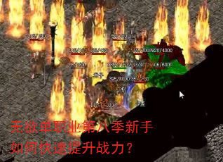无欲单职业第八季新手如何快速提升战力? 无欲单职业第八季新手如何快速提升战力?