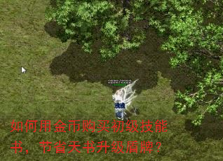 如何用金币购买初级技能书,节省天书升级盾牌? 如何用金币购买初级技能书,节省天书升级盾牌?