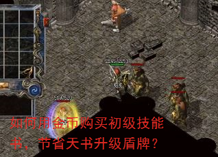 如何用金币购买初级技能书,节省天书升级盾牌? 如何用金币购买初级技能书,节省天书升级盾牌?
