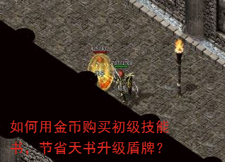 如何用金币购买初级技能书,节省天书升级盾牌? 如何用金币购买初级技能书,节省天书升级盾牌?