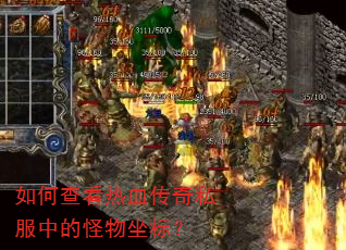 ��β鿴��Ѫ����˽���еĹ������ꣿ