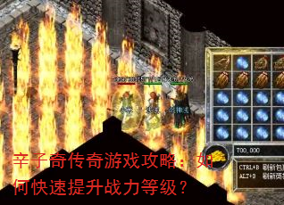 辛子奇传奇游戏攻略:如何快速提升战力等级? 辛子奇传奇游戏攻略:如何快速提升战力等级?