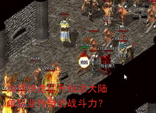 如何快速提升仙途大陆单职业传奇的战斗力? 如何快速提升仙途大陆单职业传奇的战斗力?