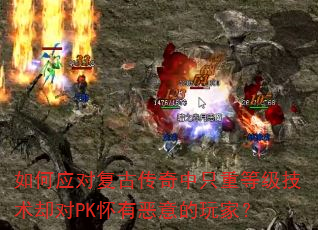 如何应对复古传奇中只重等级技术却对PK怀有恶意的玩家? 如何应对复古传奇中只重等级技术却对PK怀有恶意的玩家?