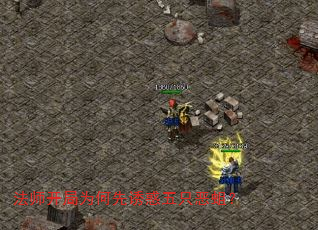��ʦ����Ϊ�����ջ���ֻ������