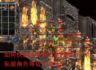 ��ο��������ϻ��洫��˽����ɫ�ȼ���װ����