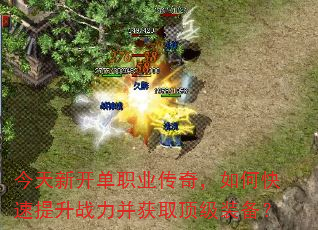 �����¿���ְҵ���棬��ο�������ս������ȡ����װ����