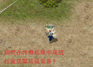如何在传奇私服中高效打金获取顶级装备? 如何在传奇私服中高效打金获取顶级装备?