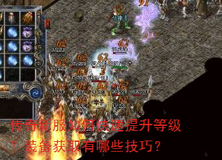 传奇新服如何快速提升等级?装备获取有哪些技巧? 传奇新服如何快速提升等级?装备获取有哪些技巧?