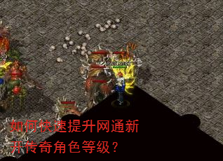 如何快速提升网通新开传奇角色等级? 如何快速提升网通新开传奇角色等级?