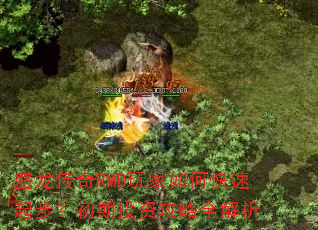 盛龙传奇RMB玩家如何快速起步?初期投资攻略全解析 盛龙传奇RMB玩家如何快速起步?初期投资攻略全解析